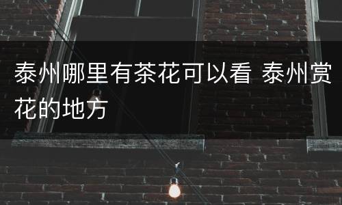 泰州哪里有茶花可以看 泰州赏花的地方