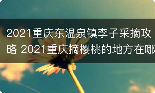 2021重庆东温泉镇李子采摘攻略 2021重庆摘樱桃的地方在哪里