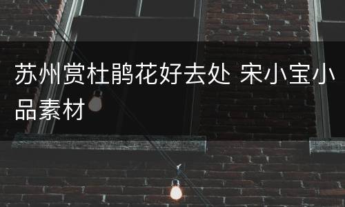 苏州赏杜鹃花好去处 宋小宝小品素材