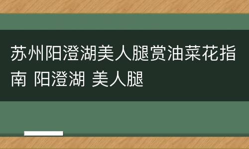 苏州阳澄湖美人腿赏油菜花指南 阳澄湖 美人腿