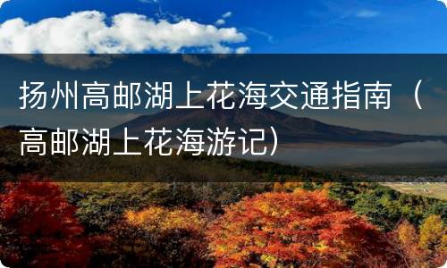 扬州高邮湖上花海交通指南（高邮湖上花海游记）