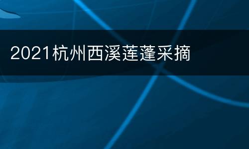 2021杭州西溪莲蓬采摘