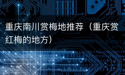 重庆南川赏梅地推荐（重庆赏红梅的地方）