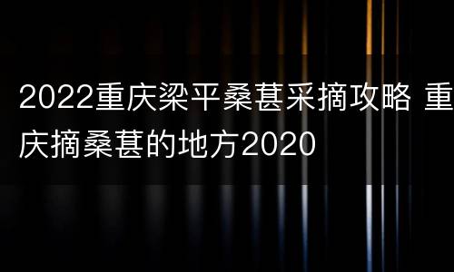 2022重庆梁平桑葚采摘攻略 重庆摘桑葚的地方2020