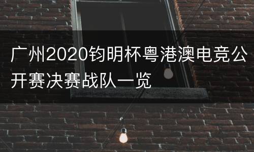 广州2020钧明杯粤港澳电竞公开赛决赛战队一览