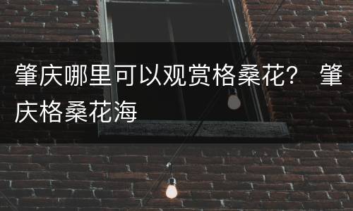 肇庆哪里可以观赏格桑花？ 肇庆格桑花海