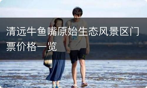 清远牛鱼嘴原始生态风景区门票价格一览