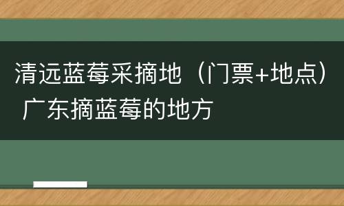 清远蓝莓采摘地（门票+地点） 广东摘蓝莓的地方