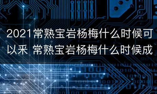 2021常熟宝岩杨梅什么时候可以釆 常熟宝岩杨梅什么时候成熟