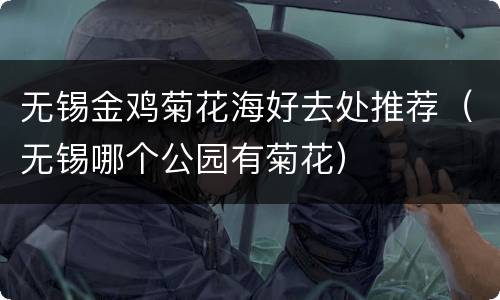 无锡金鸡菊花海好去处推荐（无锡哪个公园有菊花）