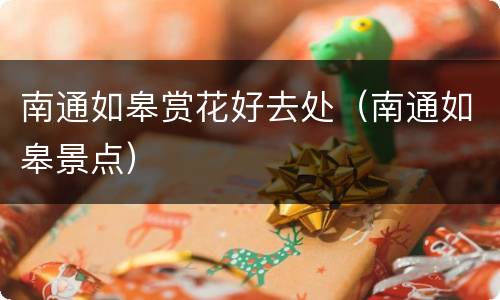 南通如皋赏花好去处（南通如皋景点）