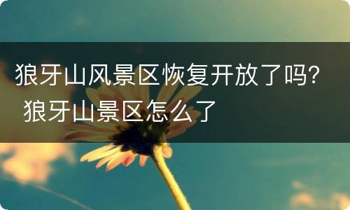 狼牙山风景区恢复开放了吗？ 狼牙山景区怎么了