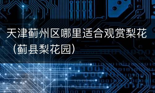 天津蓟州区哪里适合观赏梨花（蓟县梨花园）