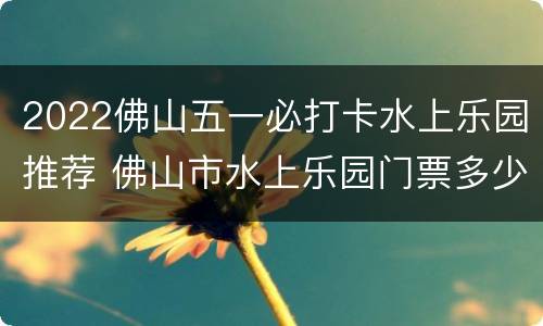 2022佛山五一必打卡水上乐园推荐 佛山市水上乐园门票多少钱