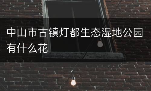 中山市古镇灯都生态湿地公园有什么花