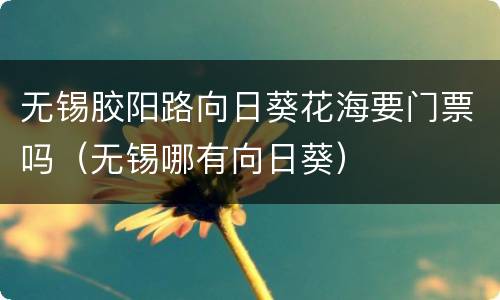 无锡胶阳路向日葵花海要门票吗（无锡哪有向日葵）
