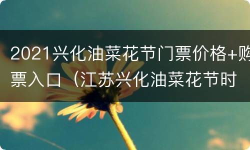 2021兴化油菜花节门票价格+购票入口（江苏兴化油菜花节时间 旅游攻略）