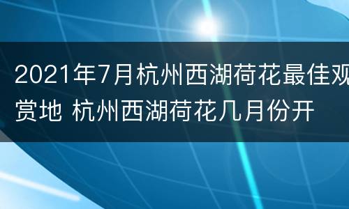 2021年7月杭州西湖荷花最佳观赏地 杭州西湖荷花几月份开
