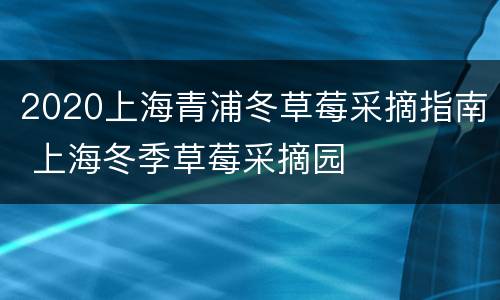 2020上海青浦冬草莓采摘指南 上海冬季草莓采摘园