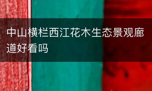 中山横栏西江花木生态景观廊道好看吗