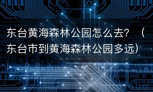东台黄海森林公园怎么去？（东台市到黄海森林公园多远）