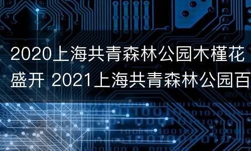 2020上海共青森林公园木槿花盛开 2021上海共青森林公园百花展