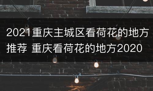 2021重庆主城区看荷花的地方推荐 重庆看荷花的地方2020