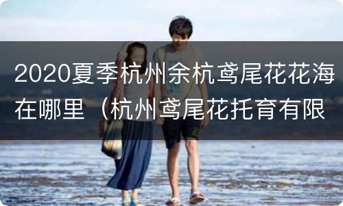 2020夏季杭州余杭鸢尾花花海在哪里（杭州鸢尾花托育有限公司）