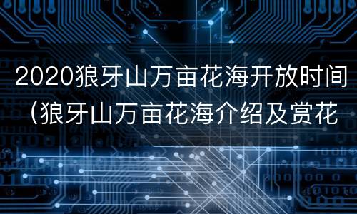 2020狼牙山万亩花海开放时间（狼牙山万亩花海介绍及赏花时间）