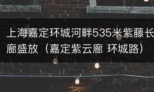 上海嘉定环城河畔535米紫藤长廊盛放（嘉定紫云廊 环城路）