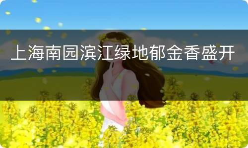 上海南园滨江绿地郁金香盛开