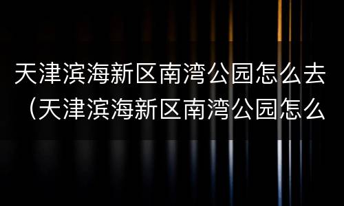 天津滨海新区南湾公园怎么去（天津滨海新区南湾公园怎么去啊）