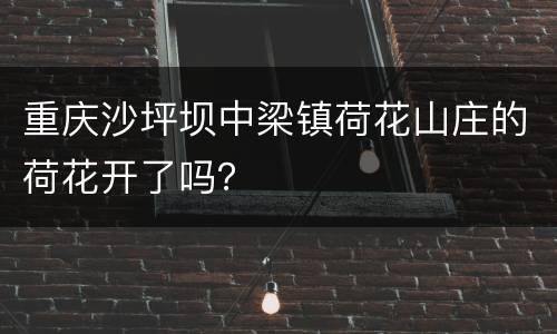 重庆沙坪坝中梁镇荷花山庄的荷花开了吗？