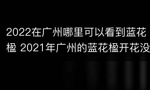 2022在广州哪里可以看到蓝花楹 2021年广州的蓝花楹开花没有