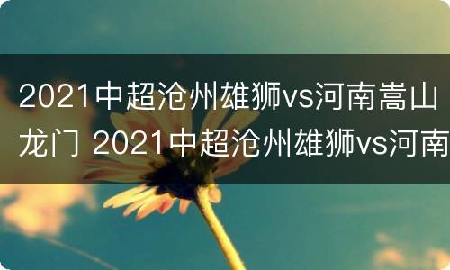 2021中超沧州雄狮vs河南嵩山龙门 2021中超沧州雄狮vs河南嵩山龙门 票