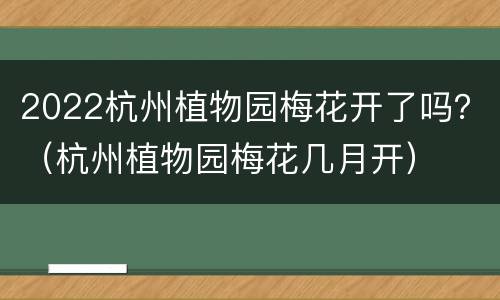 2022杭州植物园梅花开了吗？（杭州植物园梅花几月开）