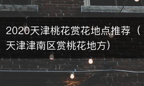 2020天津桃花赏花地点推荐（天津津南区赏桃花地方）