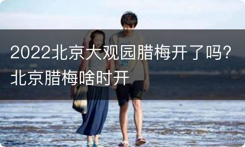 2022北京大观园腊梅开了吗? 北京腊梅啥时开