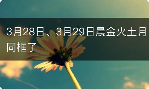 3月28日、3月29日晨金火土月同框了