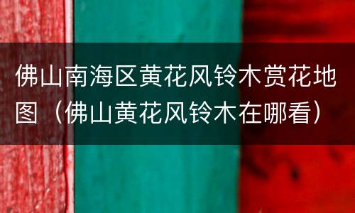 佛山南海区黄花风铃木赏花地图（佛山黄花风铃木在哪看）