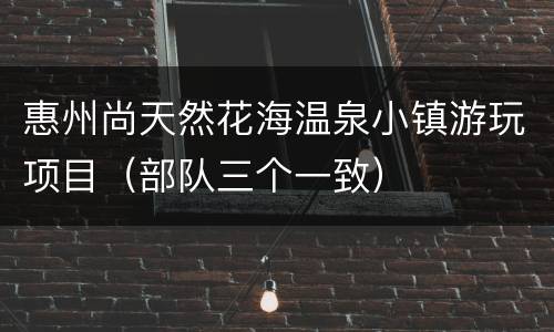 惠州尚天然花海温泉小镇游玩项目（部队三个一致）