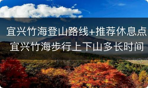 宜兴竹海登山路线+推荐休息点 宜兴竹海步行上下山多长时间