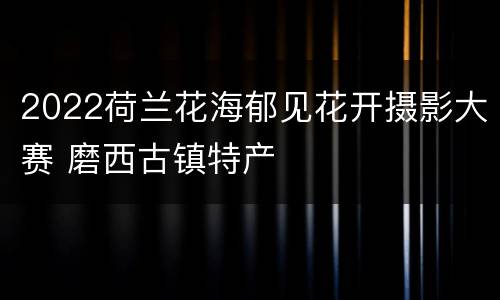 2022荷兰花海郁见花开摄影大赛 磨西古镇特产