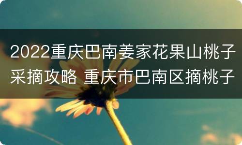 2022重庆巴南姜家花果山桃子采摘攻略 重庆市巴南区摘桃子