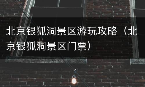 北京银狐洞景区游玩攻略（北京银狐洞景区门票）