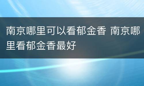 南京哪里可以看郁金香 南京哪里看郁金香最好