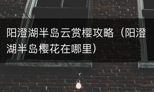 阳澄湖半岛云赏樱攻略（阳澄湖半岛樱花在哪里）