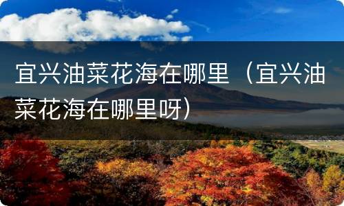 宜兴油菜花海在哪里（宜兴油菜花海在哪里呀）