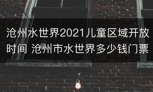 沧州水世界2021儿童区域开放时间 沧州市水世界多少钱门票