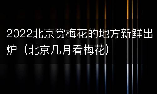 2022北京赏梅花的地方新鲜出炉（北京几月看梅花）